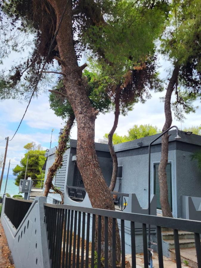 Dilion Holiday home